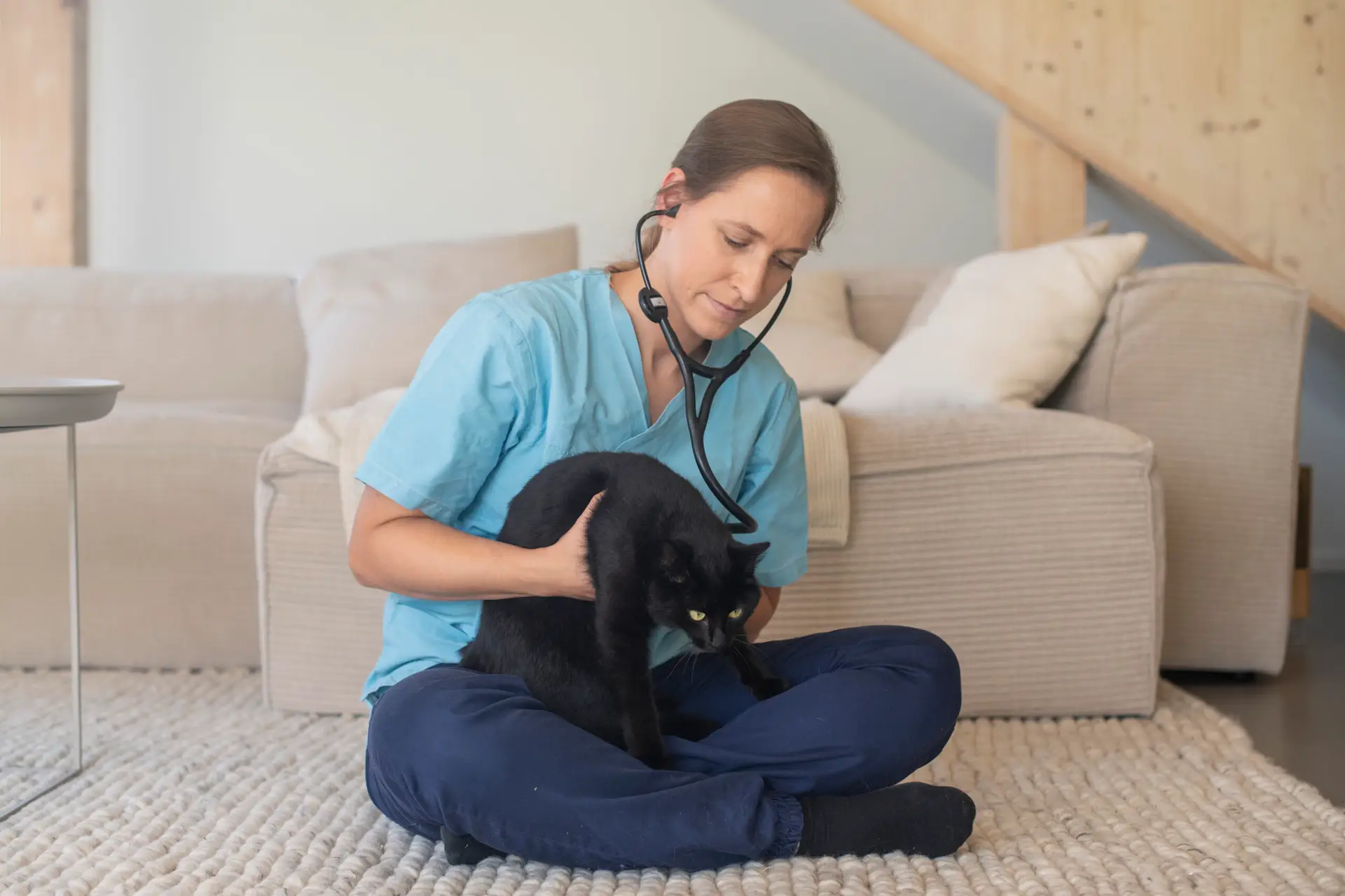 Mobile Tierärztin hört Katze mit Stethoskop ab