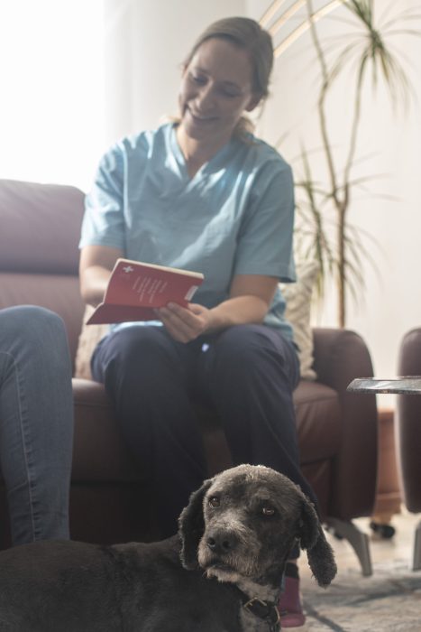 Mobile Tierärztin bespricht Impfbuch des Hundes mit der Hundehalterin